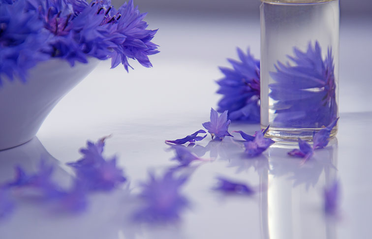 essential oils cosmetology flowers medicine