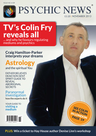 Magazine 43 November 2013 issue (Issue No 4109)