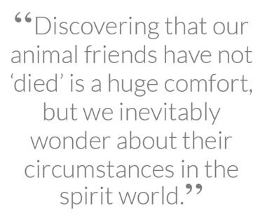 “Discovering that our animal friends have not ‘died’ is a huge comfort, but we inevitably wonder about their circumstances in the spirit world"