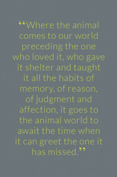 “Where the animal comes to our world preceding the one who loved it, who gave it shelter and taught it all the habits of memory, of reason, of judgment and affection, it goes to the animal world to await the time when it can greet the one it has missed."